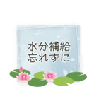 夏咲く花のフレーム挨拶スタンプ（個別スタンプ：5）