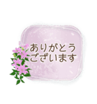 夏咲く花のフレーム挨拶スタンプ（個別スタンプ：7）