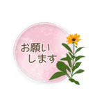 夏咲く花のフレーム挨拶スタンプ（個別スタンプ：11）
