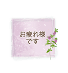 夏咲く花のフレーム挨拶スタンプ（個別スタンプ：13）