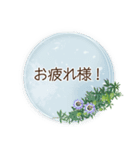 夏咲く花のフレーム挨拶スタンプ（個別スタンプ：14）