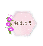 夏咲く花のフレーム挨拶スタンプ（個別スタンプ：21）