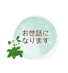 夏咲く花のフレーム挨拶スタンプ（個別スタンプ：26）
