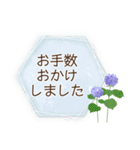 夏咲く花のフレーム挨拶スタンプ（個別スタンプ：28）