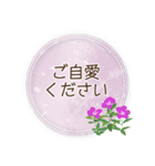 夏咲く花のフレーム挨拶スタンプ（個別スタンプ：30）