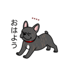 名前入りフレブルタイガーブリンドル（個別スタンプ：3）