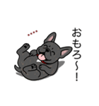 名前入りフレブルタイガーブリンドル（個別スタンプ：20）