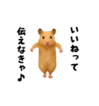 エッホエッホキンクマハムスター（個別スタンプ：2）