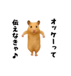 エッホエッホキンクマハムスター（個別スタンプ：3）