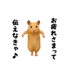 エッホエッホキンクマハムスター（個別スタンプ：4）