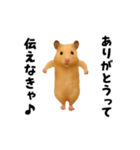 エッホエッホキンクマハムスター（個別スタンプ：5）