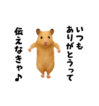 エッホエッホキンクマハムスター（個別スタンプ：6）
