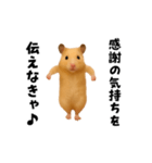 エッホエッホキンクマハムスター（個別スタンプ：7）