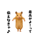 エッホエッホキンクマハムスター（個別スタンプ：8）