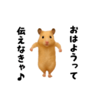 エッホエッホキンクマハムスター（個別スタンプ：9）