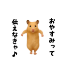 エッホエッホキンクマハムスター（個別スタンプ：10）
