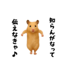 エッホエッホキンクマハムスター（個別スタンプ：12）