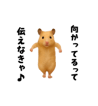 エッホエッホキンクマハムスター（個別スタンプ：13）