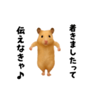 エッホエッホキンクマハムスター（個別スタンプ：14）