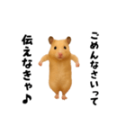 エッホエッホキンクマハムスター（個別スタンプ：16）