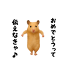 エッホエッホキンクマハムスター（個別スタンプ：17）