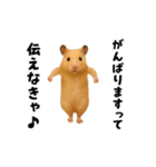 エッホエッホキンクマハムスター（個別スタンプ：20）