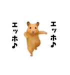 エッホエッホキンクマハムスター（個別スタンプ：23）