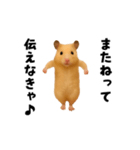 エッホエッホキンクマハムスター（個別スタンプ：24）