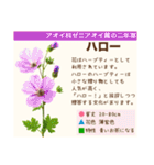 架空植物図鑑（個別スタンプ：1）