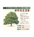 架空植物図鑑（個別スタンプ：3）