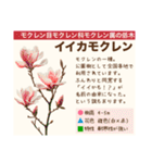 架空植物図鑑（個別スタンプ：7）
