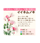 架空植物図鑑（個別スタンプ：8）