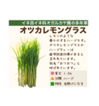 架空植物図鑑（個別スタンプ：9）