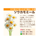 架空植物図鑑（個別スタンプ：11）
