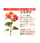 架空植物図鑑（個別スタンプ：12）