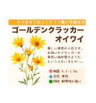 架空植物図鑑（個別スタンプ：14）