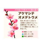 架空植物図鑑（個別スタンプ：15）