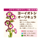架空植物図鑑（個別スタンプ：16）