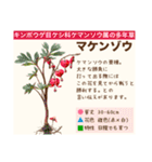 架空植物図鑑（個別スタンプ：17）