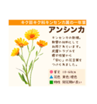 架空植物図鑑（個別スタンプ：19）