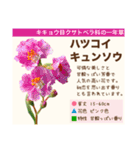 架空植物図鑑（個別スタンプ：23）