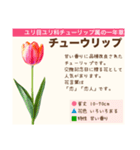 架空植物図鑑（個別スタンプ：24）