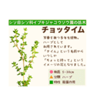 架空植物図鑑（個別スタンプ：25）