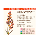 架空植物図鑑（個別スタンプ：26）