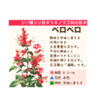 架空植物図鑑（個別スタンプ：27）