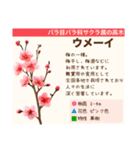 架空植物図鑑（個別スタンプ：28）