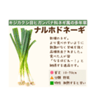 架空植物図鑑（個別スタンプ：29）
