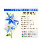 架空植物図鑑（個別スタンプ：30）