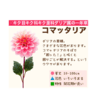 架空植物図鑑（個別スタンプ：31）