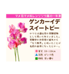 架空植物図鑑（個別スタンプ：32）